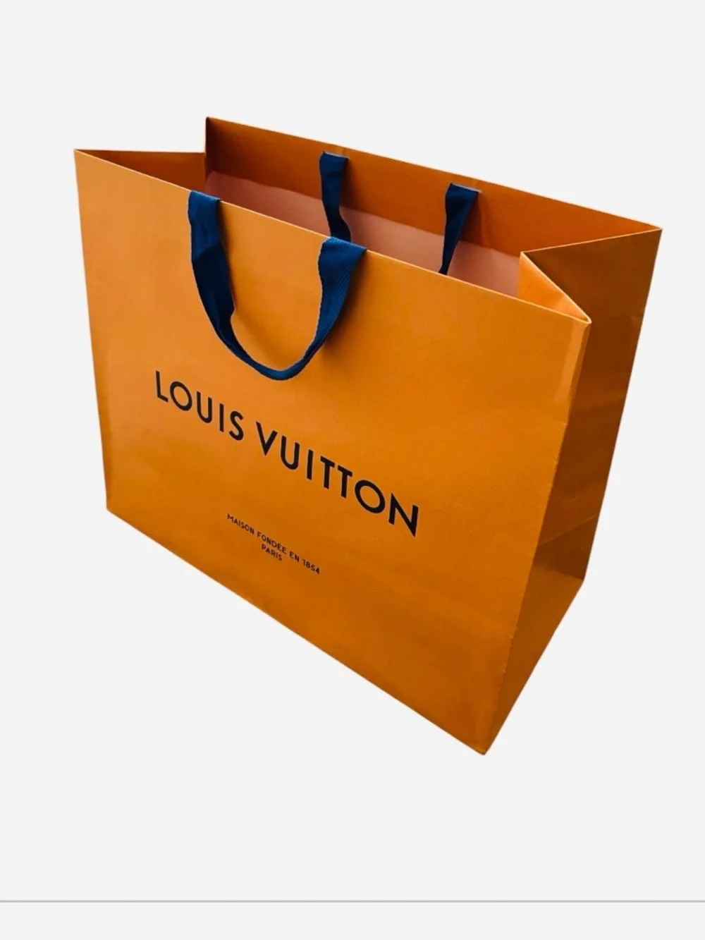 AUTHENTIC Louis Vuitton Gift Bag.